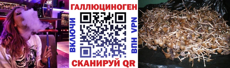 нарко площадка какой сайт  Георгиевск  Галлюциногенные грибы Cubensis 